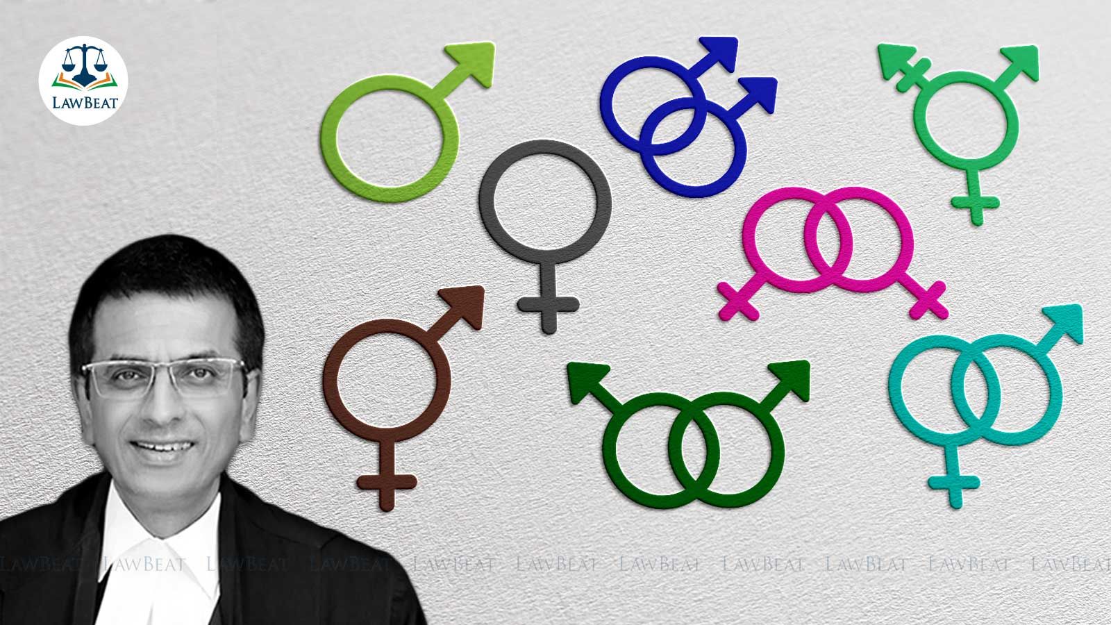 Biological male beyond anatomy, CJI DY Chandrachud says Biological male beyond anatomy, CJI DY Chandrachud says